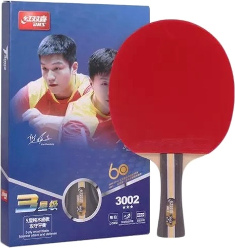 Raquete para Ping Pong 3002 DHS R170450-2
